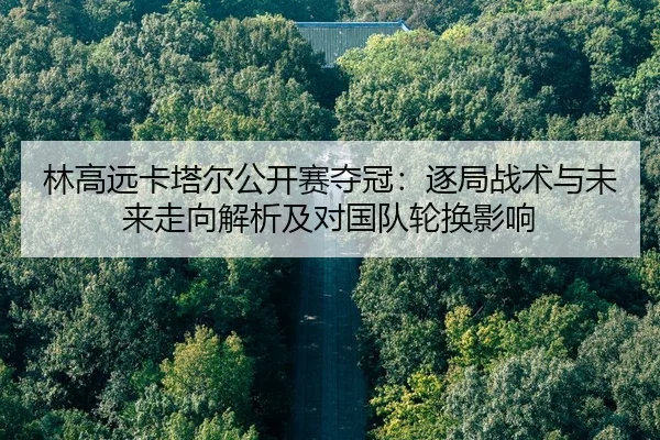 林高远卡塔尔公开赛夺冠：逐局战术与未来走向解析及对国队轮换影响