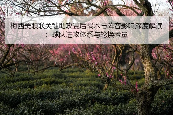 mei-xi-mei-zhi-lian-guan-jian-zhu-gong-sai-hou-zhan-shu-yu-zhen-rong-ying-xiang-shen-du-jie-du-qiu-dui-jin-gong-ti-xi-2-886.jpg